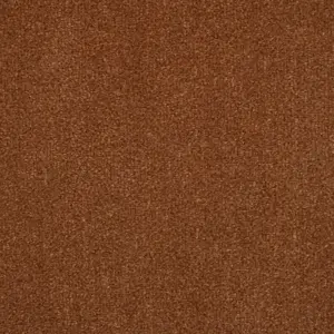 Zen - 84 5-Meter Breit Teppichboden