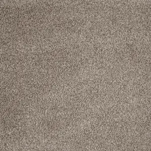 Majestic, Maverick Wall to Wall - 39 4-Meter Breit Teppichboden