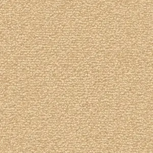 Fascination, Lyrica - 8K02 5-Meter Breit Teppichboden