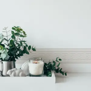 Tapete Bordüre