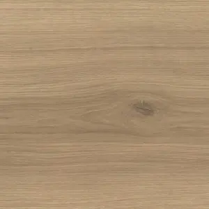 Tritty 100 Campus, Tritty 100 Campus 4V Silent CT - Eiche Emilia puro