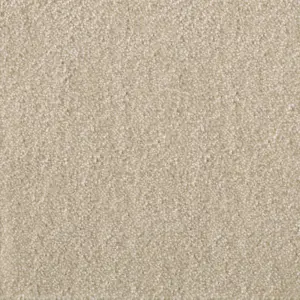 Ambience - 34 4-Meter Breit Teppichboden