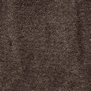 Lounge - 44 5-Meter Breit Teppichboden