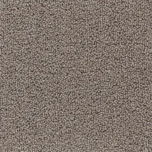 Pride - 49 5-Meter Breit Teppichboden