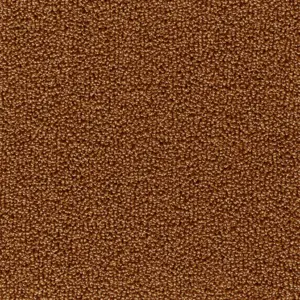 Pride - 85 5-Meter Breit Teppichboden