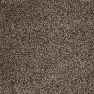 Majestic, Maverick Wall to Wall - 40 4-Meter Breit Teppichboden