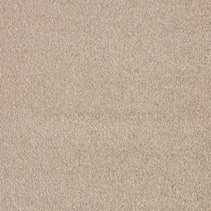 Seduction, Sensualite - 49 4-Meter Breit Teppichboden