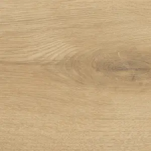 HARO Sonderedition NKL31 Eiche Siena puro 544653