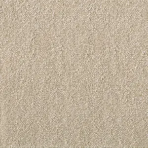 Ambience - 34 5-Meter Breit Teppichboden