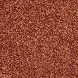 Glory - 84 4-Meter Breit Teppichboden