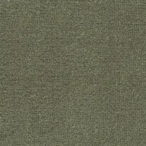 Triumph - 29 5-Meter Breit Teppichboden