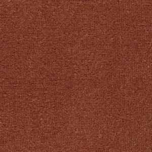 Triumph - 84 4-Meter Breit Teppichboden