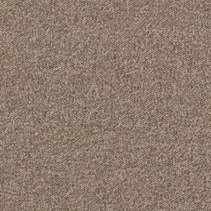 Maxima, Maverick Wall to Wall - 37 5-Meter Breit Teppichboden