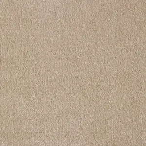 Obsession, Sensualite - 36 4-Meter Breit Teppichboden