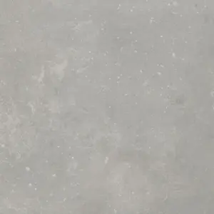 Primetex - LEONE CLEAR 2-Meter Breit PVC-Boden