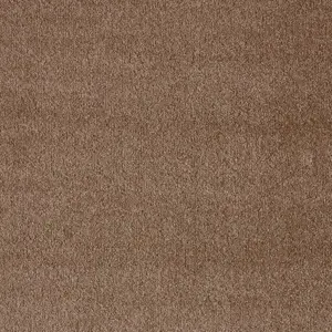 Seduction, Sensualite - 46 4-Meter Breit Teppichboden