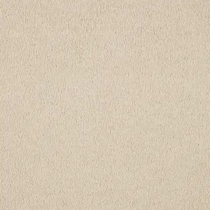 Vibes, Vivendi - 33 4-Meter Breit Teppichboden