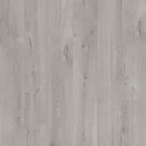 Alpha Vinyl Bloom - Eiche Baumwolle kalt-grau Klick-Vinyl, Rigid Vinyl