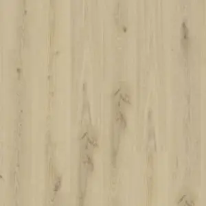 Essence 30 - Primary Oak Beige zum Kleben