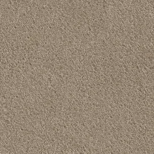 Ambience - 37 5-Meter Breit Teppichboden