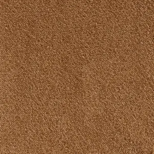 Ambience - 38 5-Meter Breit Teppichboden