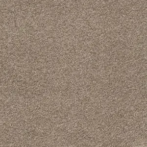 Glory - 34 4-Meter Breit Teppichboden