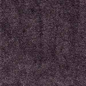 Lounge - 17 4-Meter Breit Teppichboden