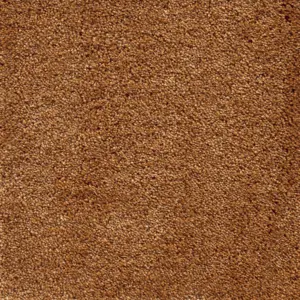 Lounge - 48 4-Meter Breit Teppichboden