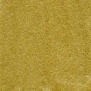 Lounge - 54 5-Meter Breit Teppichboden