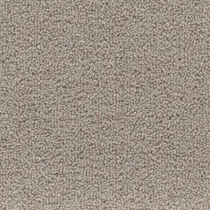 Pride - 93 5-Meter Breit Teppichboden