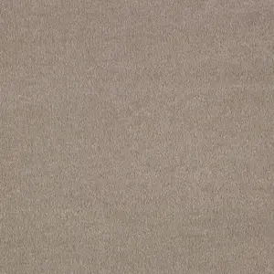 Sentiment, Sensualite - 40 4-Meter Breit Teppichboden