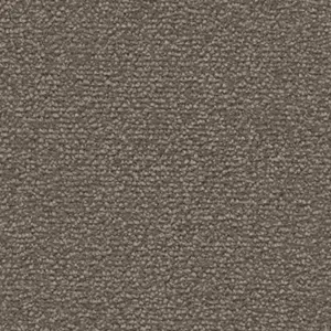 Fascination, Lyrica - 5X81 5-Meter Breit Teppichboden