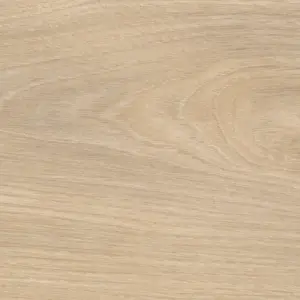 Tritty 100 Gran Via, Tritty 100 Gran Via 4V - Silberahorn Vario