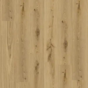 Essence 30 - Primary Oak Natural zum Kleben
