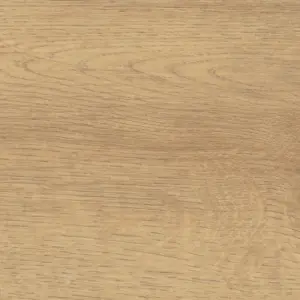 Sonderedition NKL31, Sonderedition NKL31 Silent Pro - Eiche Scarpa natur