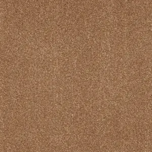 Zen - 38 5-Meter Breit Teppichboden