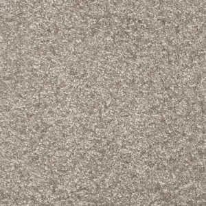 Dorado, Gaia - 49 5-Meter Breit Teppichboden