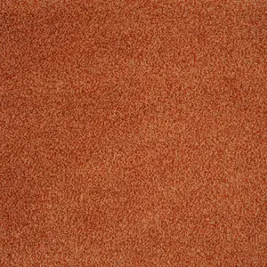 Majestic, Maverick Wall to Wall - 84 4-Meter Breit Teppichboden