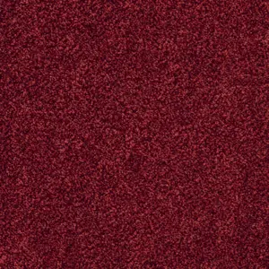 Glory - 12 5-Meter Breit Teppichboden