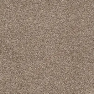 Glory - 34 5-Meter Breit Teppichboden