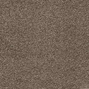 Glory - 45 4-Meter Breit Teppichboden