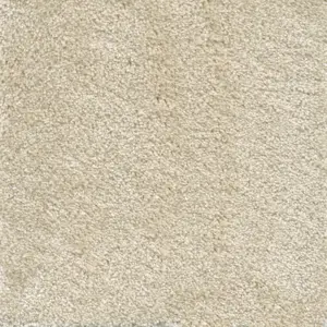 Lounge - 34 5-Meter Breit Teppichboden