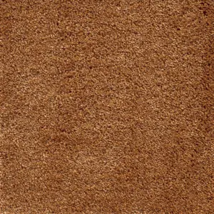 Lounge - 48 5-Meter Breit Teppichboden