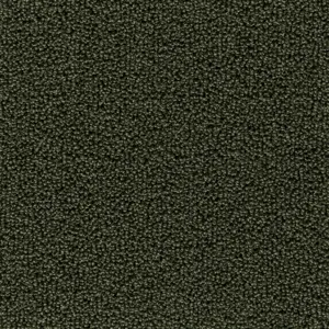 Pride - 24 4-Meter Breit Teppichboden