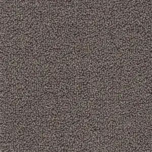 Pride - 48 4-Meter Breit Teppichboden