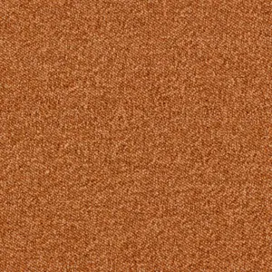 Maxima, Maverick Wall to Wall - 85 5-Meter Breit Teppichboden