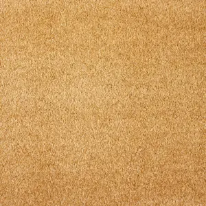 Scent, Sensualite - 54 4-Meter Breit Teppichboden