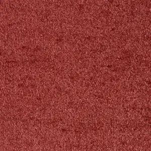 Sensation New, Sensualite - 19 5-Meter Breit Teppichboden