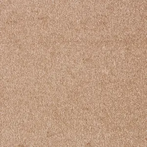 Sensation New, Sensualite - 41 4-Meter Breit Teppichboden