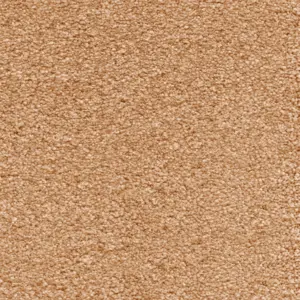 Suspense, Sensualite - 80 4-Meter Breit Teppichboden